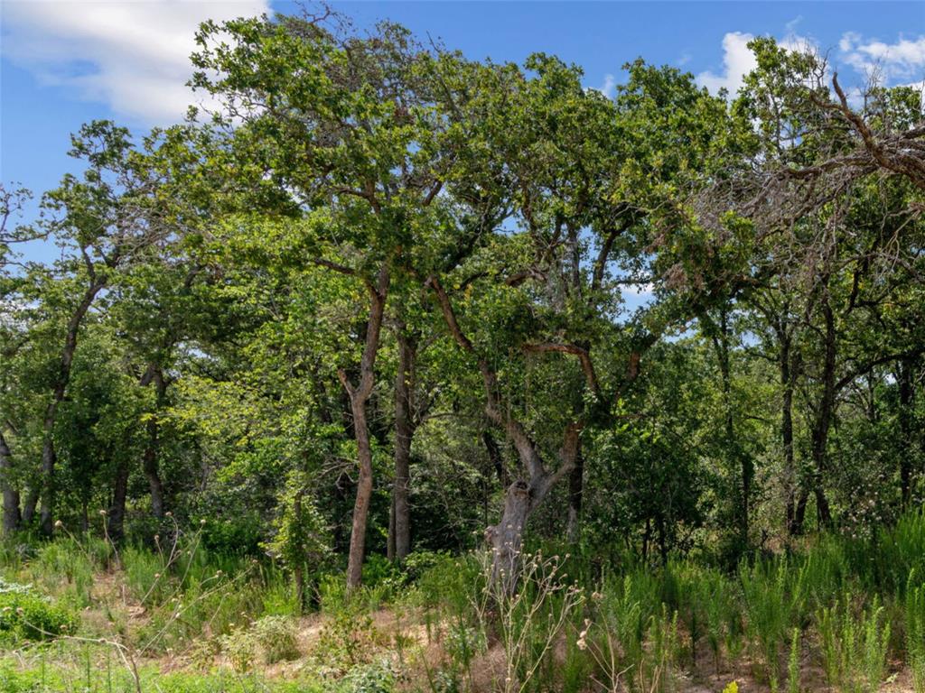 Lot 54 Kilkenny Road Poolville, TX 76487 - Photo 5 of 14