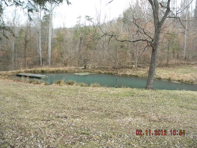 9240 Pike Road Montvale, VA 24122 - Photo 3 of 18 SMALL PRIVATE POND