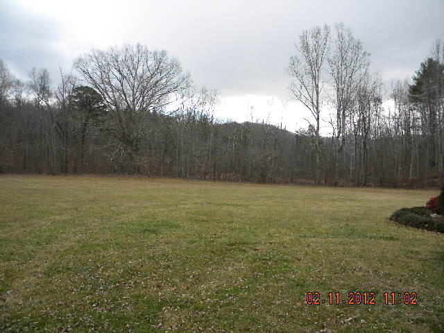 9240 Pike Road Montvale, VA 24122 - Photo 6 of 18 LARGE LEVEL YARD