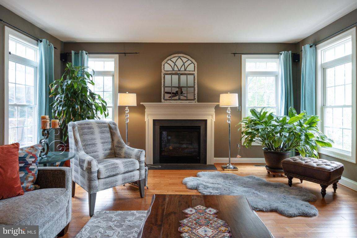 8923 Ricky Trevor Road Perry Hall, MD 21128 - Photo 11 of 58 Family room w/gas fire place
