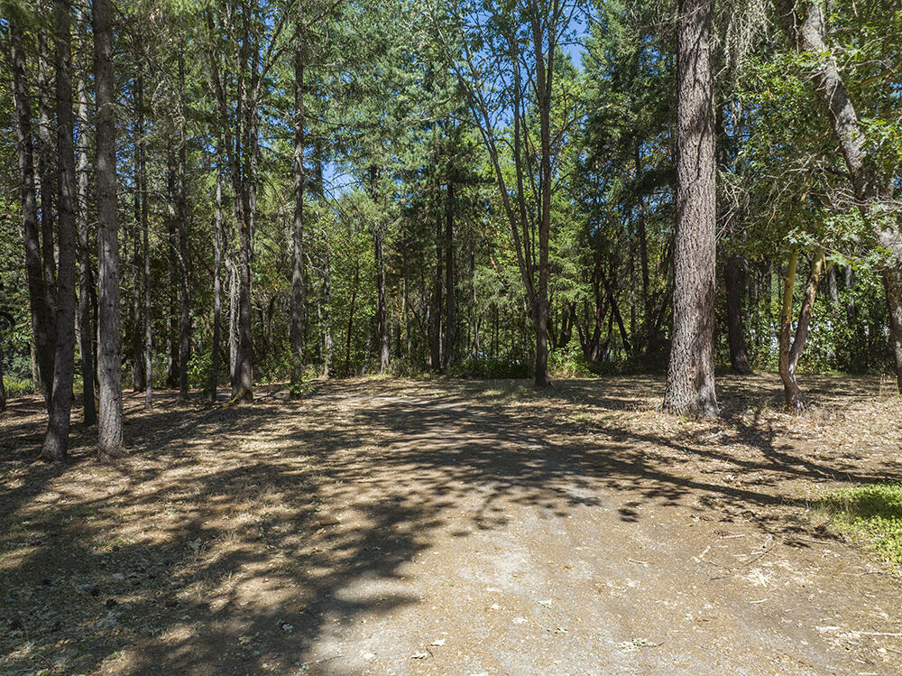 131 Cheney Creek Road Grants Pass, OR 97527 - Photo 31 of 40 A8AC31A4-6D71-4C39-A7EE-8A67BFE261B0