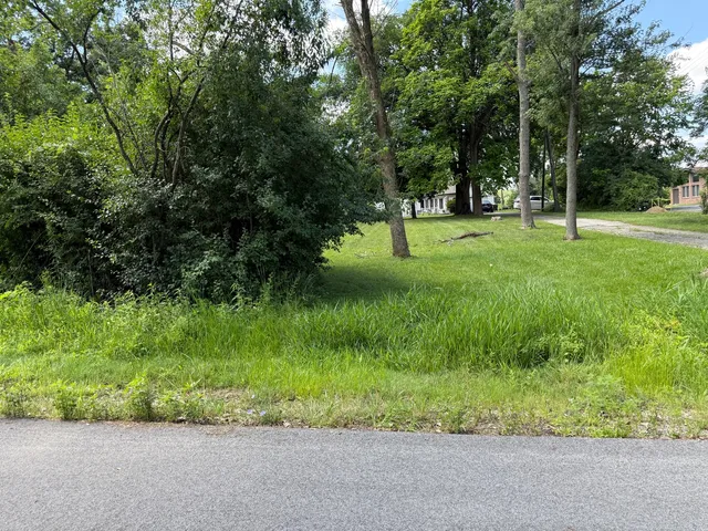 a view of green field