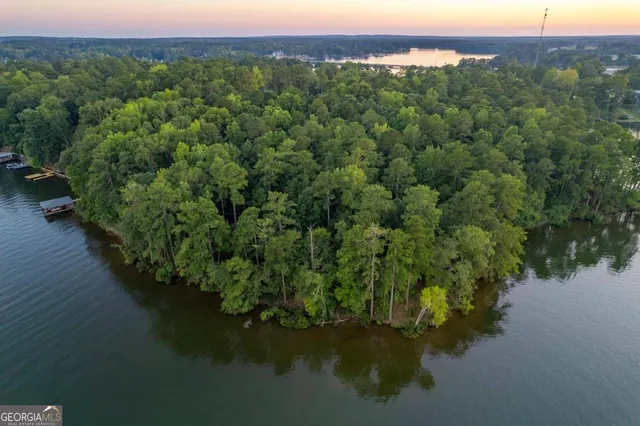 a view of a lake with a mountain in the background