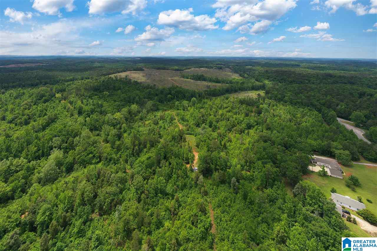 5936 Montevallo Road Centreville, AL 35042 - Photo 3 of 35