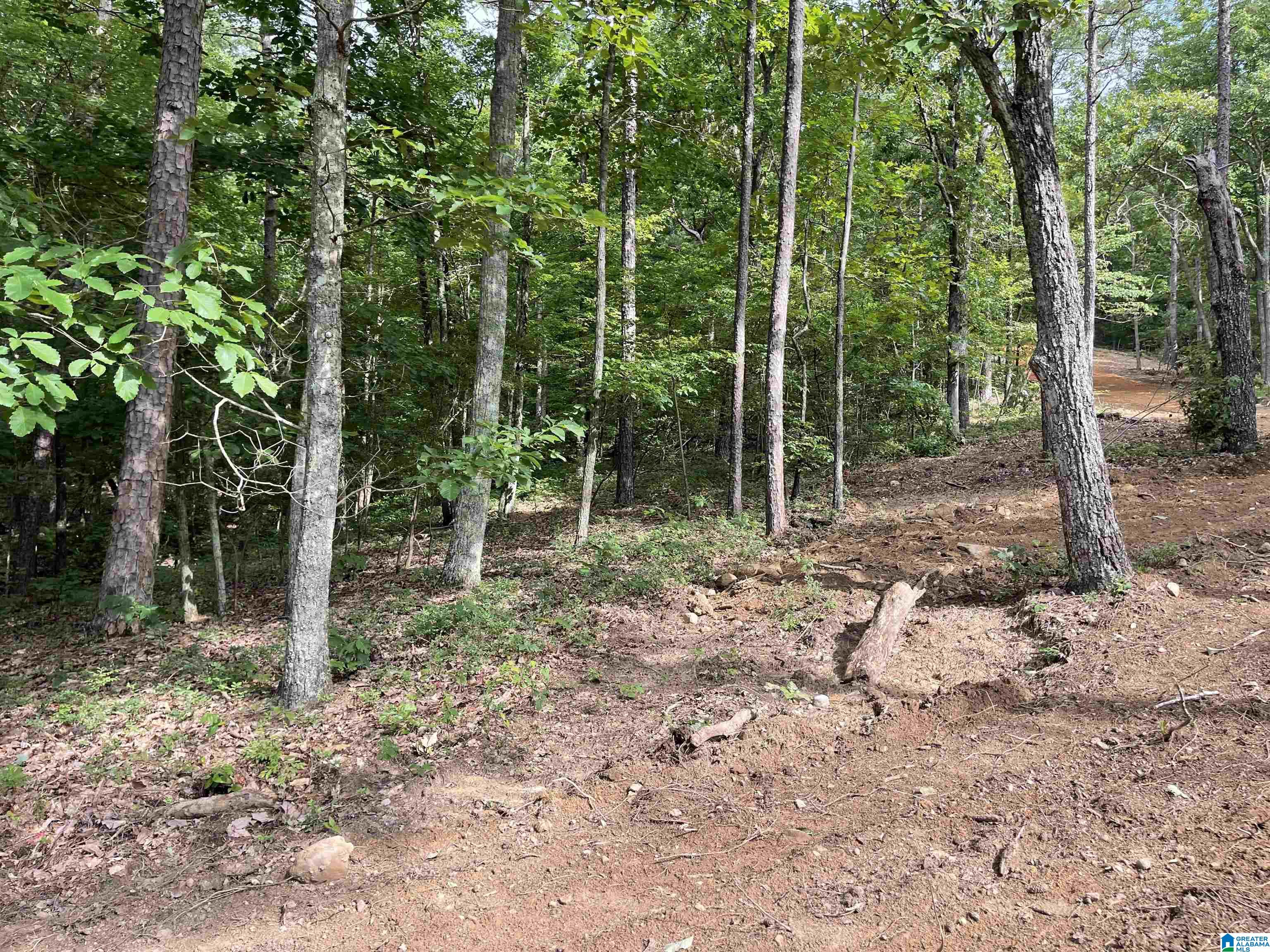 0 Scenic Road Jacksonville, AL 36265 - Photo 23 of 42