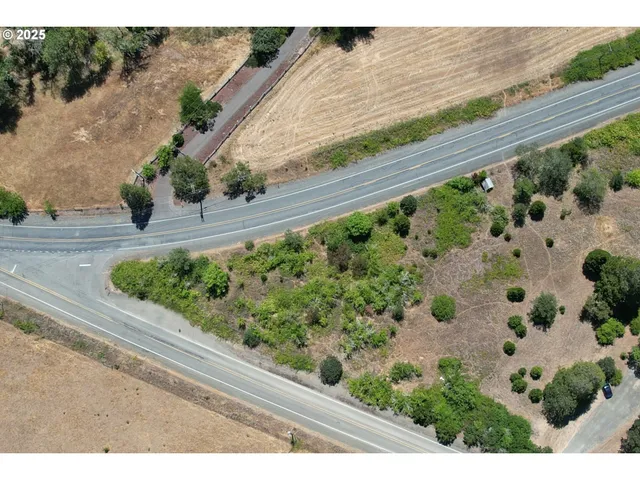 a view of a garden with plants