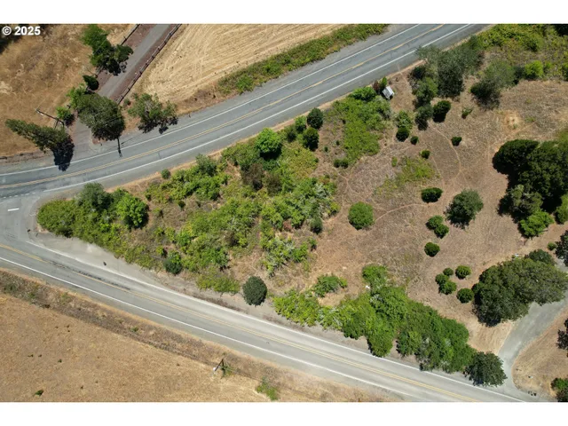 a view of a garden with plants