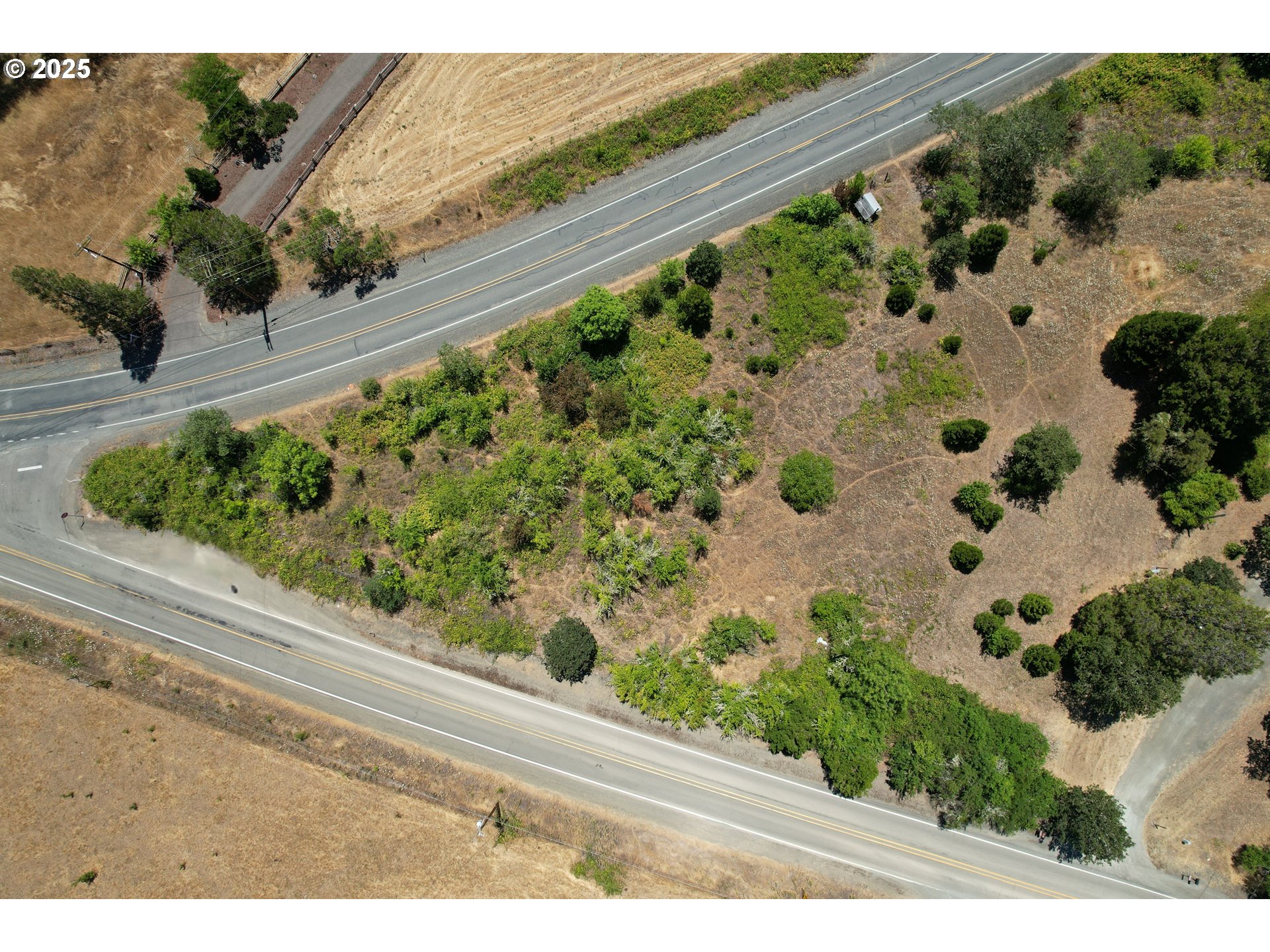0 South Myrtle Road Myrtle Creek, OR 97457 - Photo 6 of 6 a view of a garden with plants
