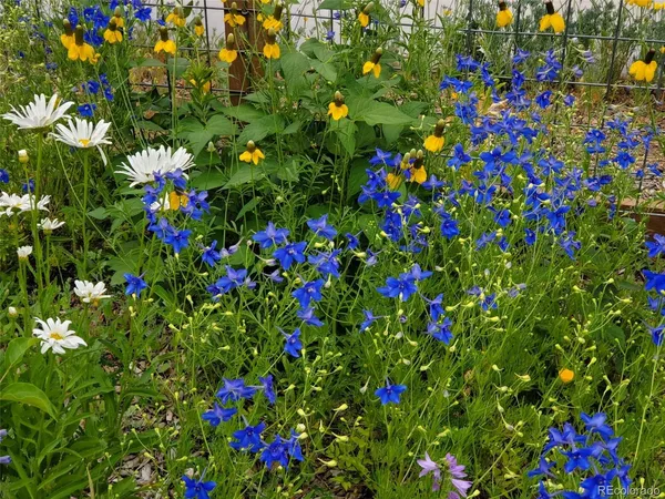 $834,000 | 1302 I Street, Salida, CO 81201