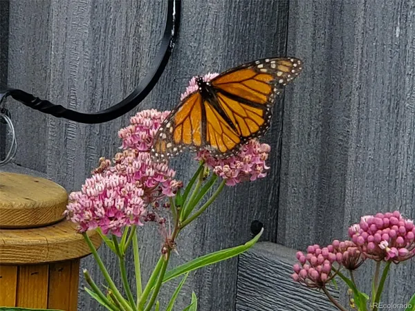 $834,000 | 1302 I Street, Salida, CO 81201