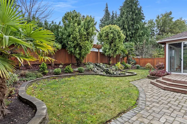 a view of a backyard with potted plants
