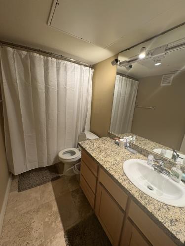 4777 Cedar Springs Road, Unit 6E Dallas, TX 75202 - Photo 8 of 10 Gallery Image 8
