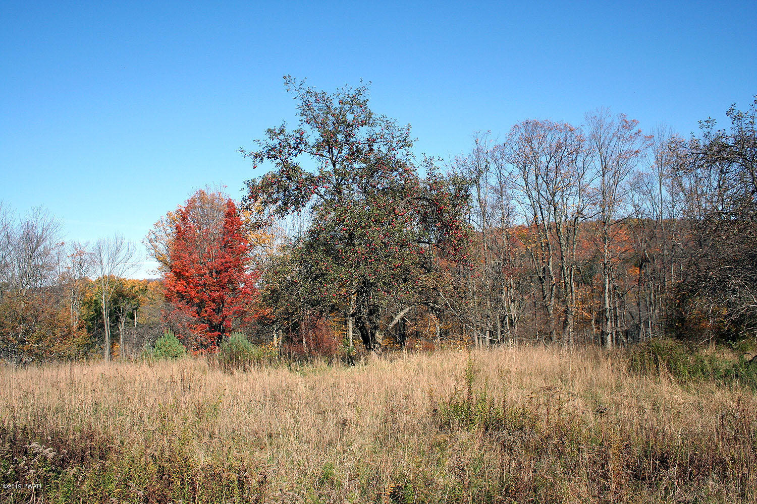 331 Church Road Damascus, PA 18415 - Photo 53 of 53 strasserOct2008 016