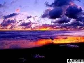 $369,000 | 960 Douglas Place, Hanover, NY 14081