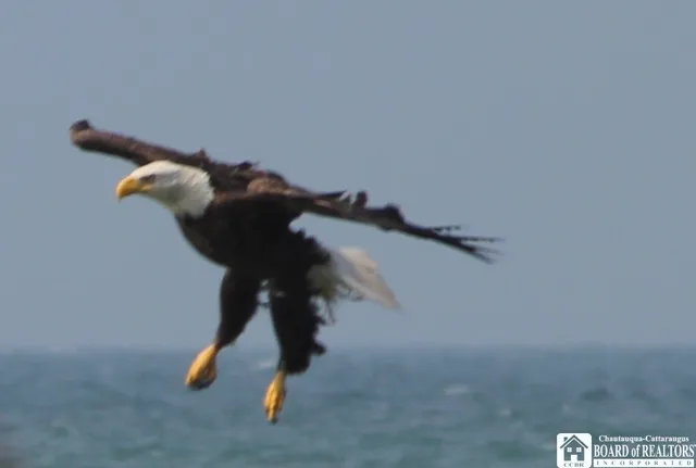 $369,000 | 960 Douglas Place, Hanover, NY 14081