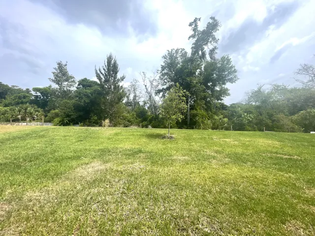 a view of a field of grass and trees