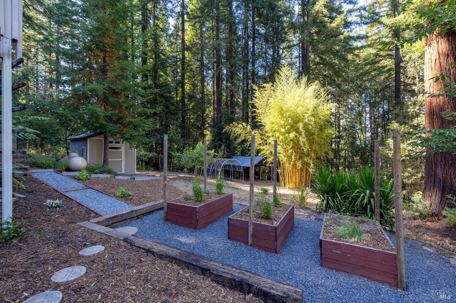 2132 Green Hill Road Sebastopol, CA 95472 - Photo 4 of 55 The property also offers multiple open & sunny areas, landscaped and ready for gardening.