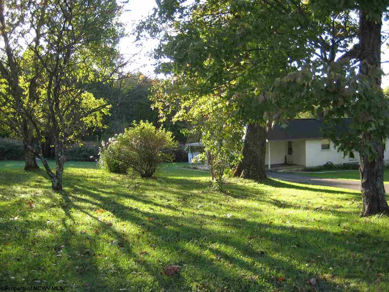 163 Indian Rock Road Reedsville, WV 26547 - Photo 11 of 19 Gallery Image 11