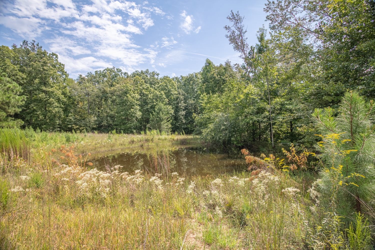 162 Tracy Road Hohenwald, TN 38462 - Photo 46 of 46 Gallery Image 46