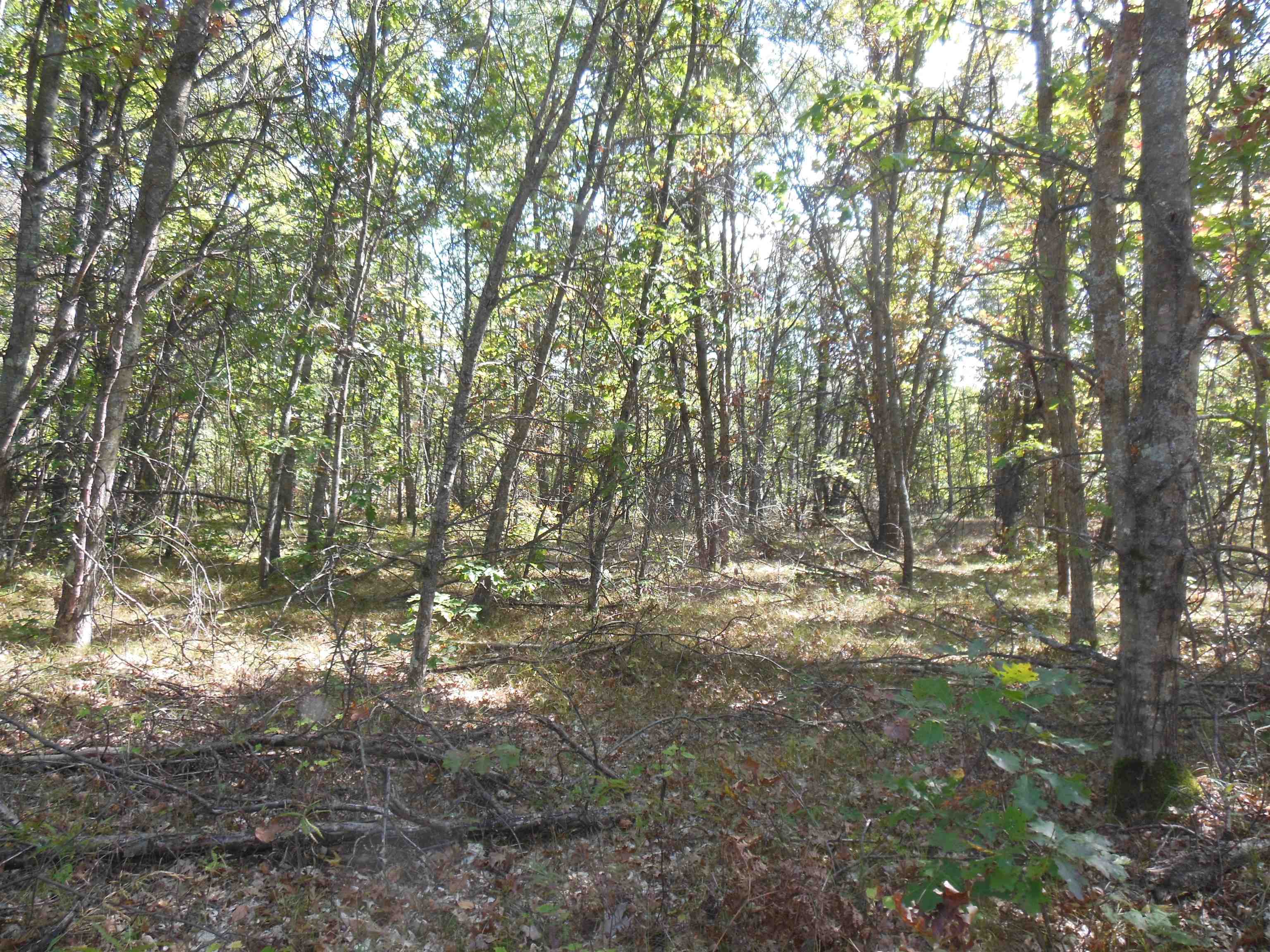 5630 Mostetler Road Harrison, MI 48625 - Photo 46 of 58