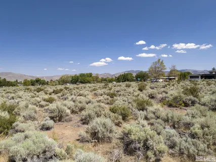 a view of a big yard