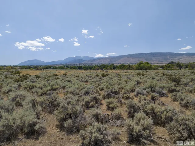 a view of an outdoor space and a yard
