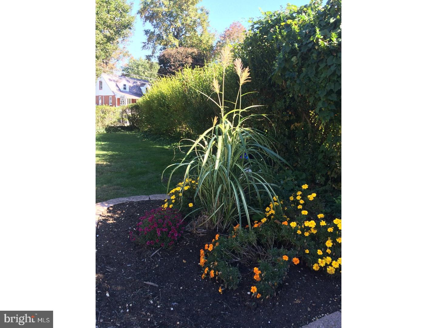 180 Scenic Road Springfield, PA 19064 - Photo 25 of 25