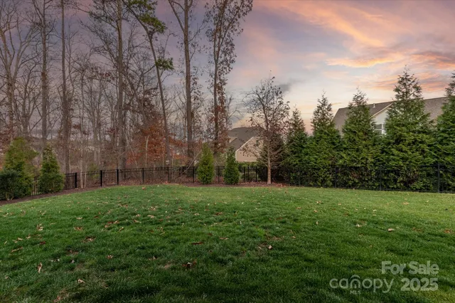 a view of a grassy field with trees in the background