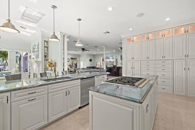 a view of a yard with plants and trees