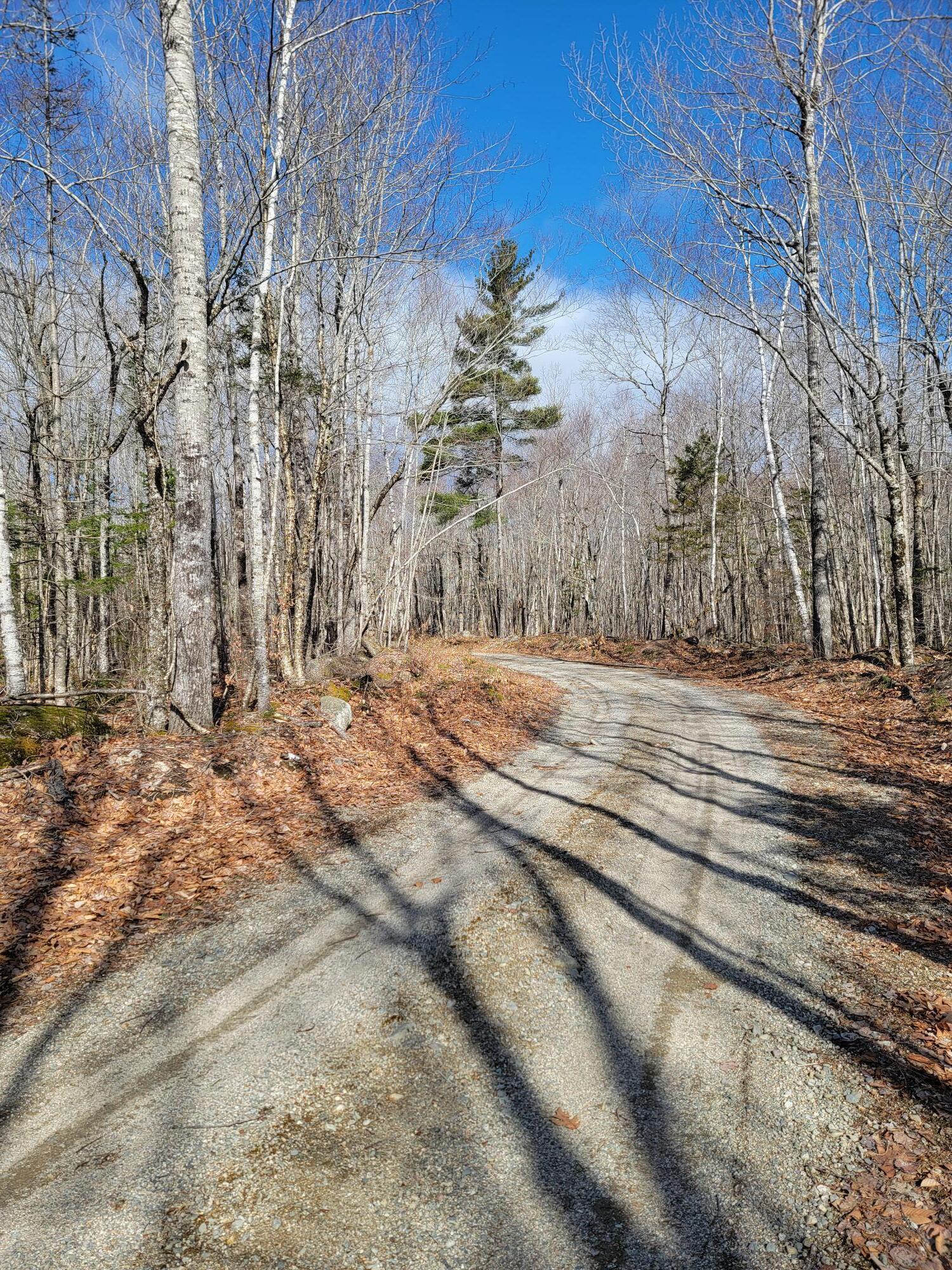 Lot #6 Hardwood Ridge Road Deblois, ME 04622 - Photo 18 of 30 Hardwood Ridge Road