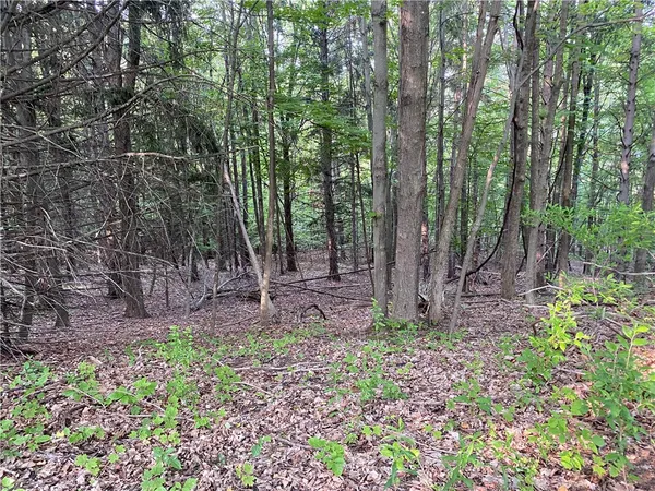 $425,000 | 0 Longview Drive, Naples, NY 14512