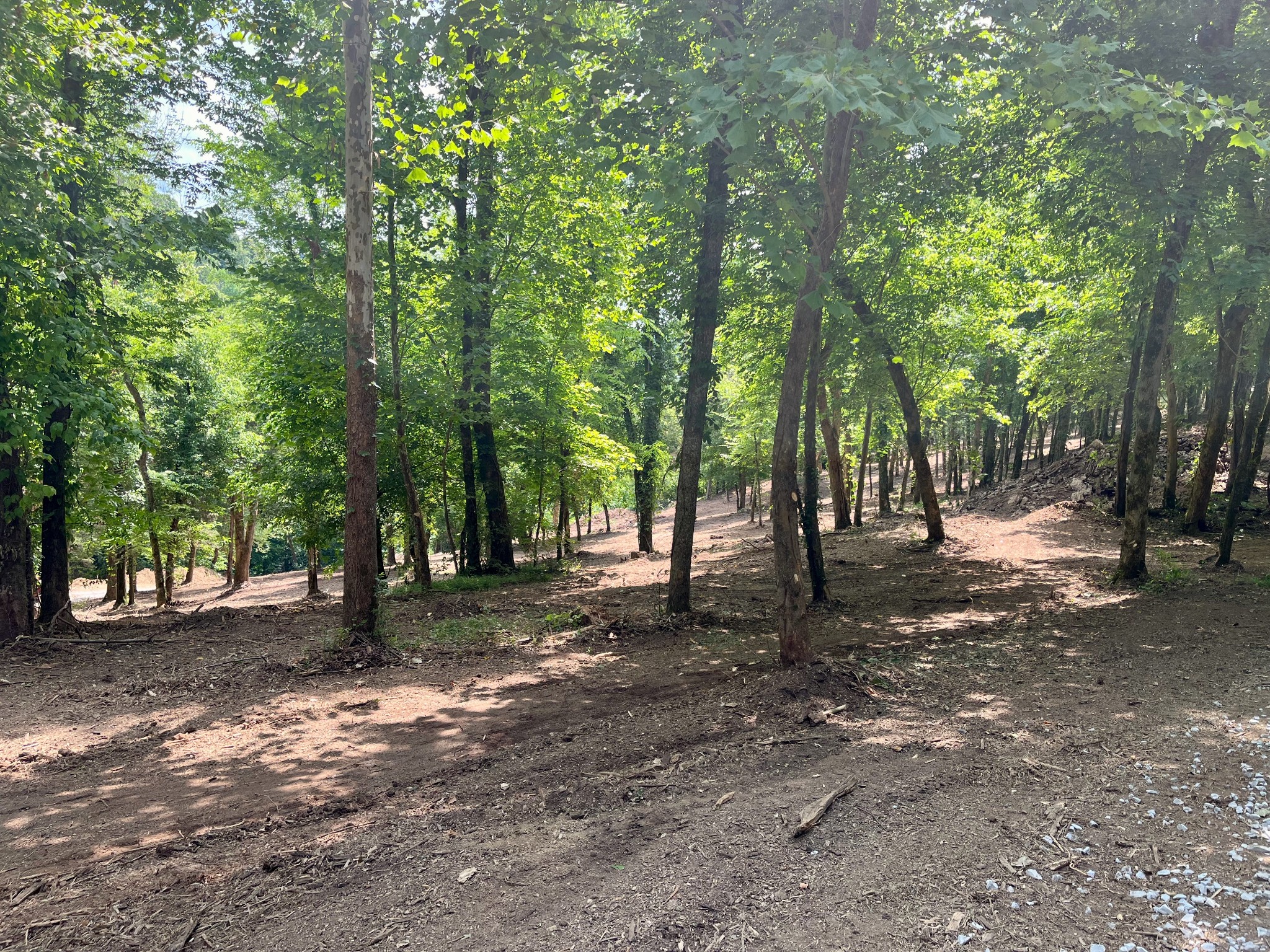 135 Dillehay Hollow Road Pleasant Shade, TN 37145 - Photo 12 of 47