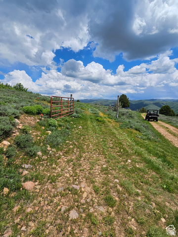 3378 North Oak Cyn Road, Unit 526 Huntsville, UT 84317 - Photo 5 of 24 View of yard featuring a view of rural / pastoral area