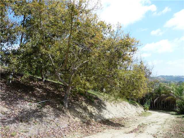 56 Reche Road Fallbrook, CA 92028 - Photo 11 of 14