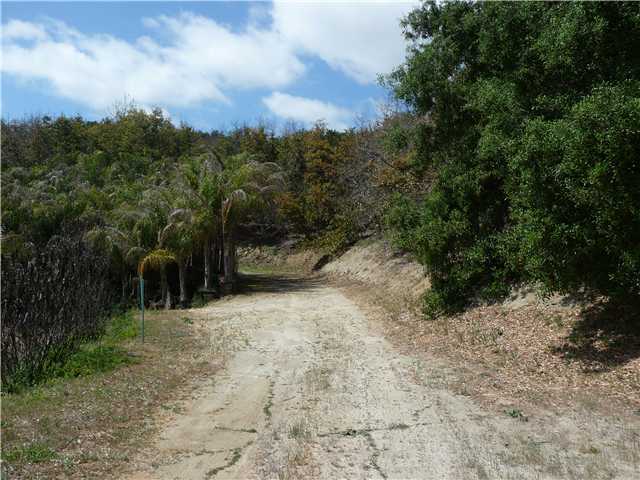 56 Reche Road Fallbrook, CA 92028 - Photo 14 of 14
