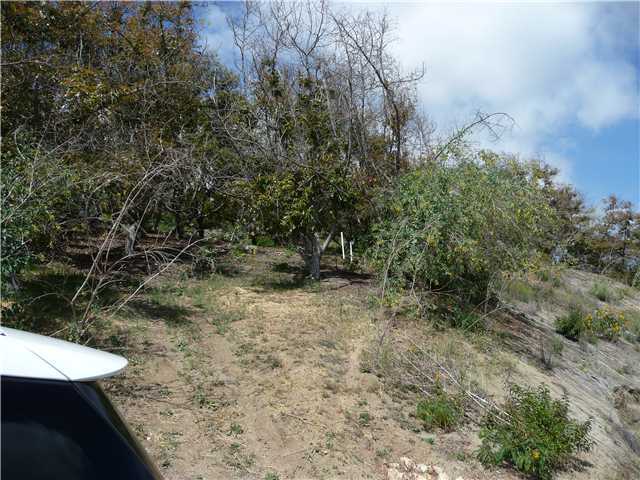 56 Reche Road Fallbrook, CA 92028 - Photo 6 of 14