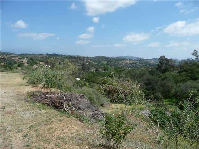 56 Reche Road Fallbrook, CA 92028 - Photo 8 of 14