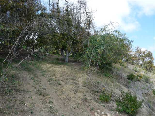 56 Reche Road Fallbrook, CA 92028 - Photo 9 of 14