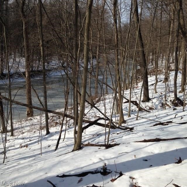 4 Timber Ridge Road Grafton, OH 44044 - Photo 20 of 21 Gallery Image 20