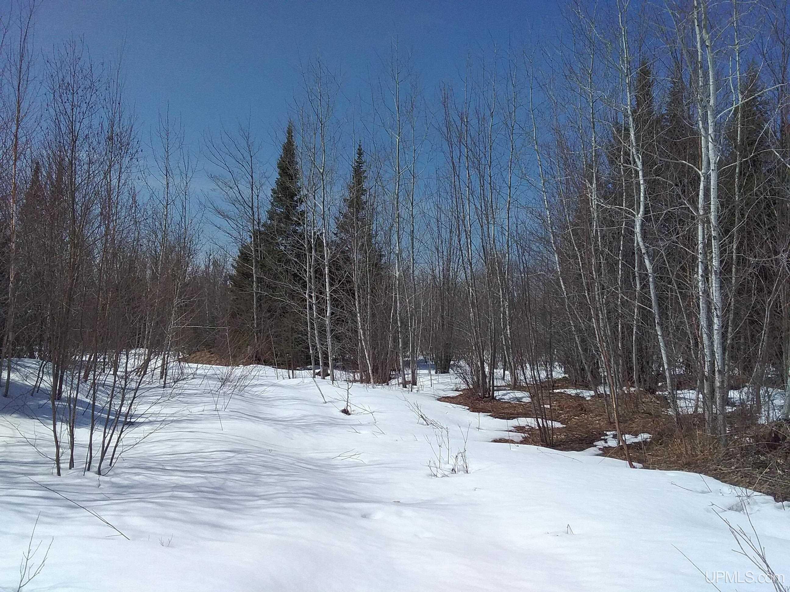V25 Rd Trenary Mi 49891 Road Rapid River, MI 49878 - Photo 1 of 28