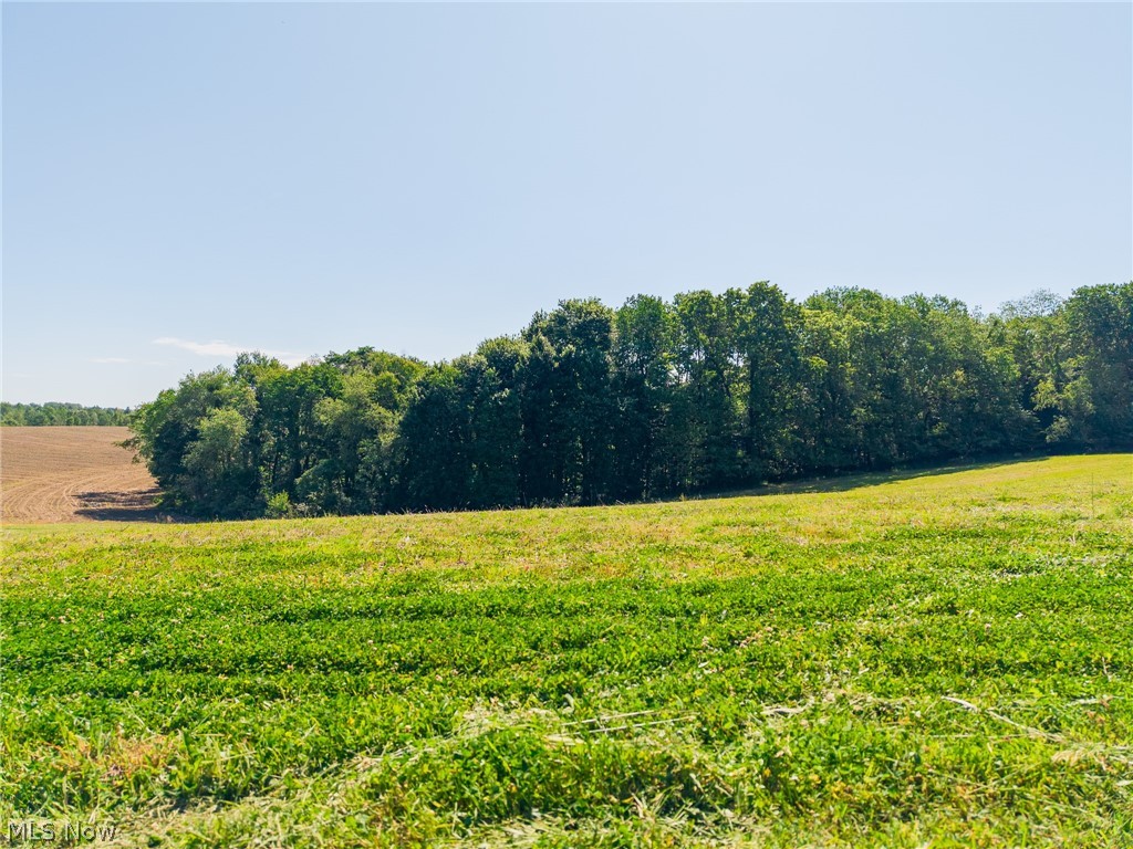 Ridge Road Minerva, OH 44657 - Photo 29 of 49