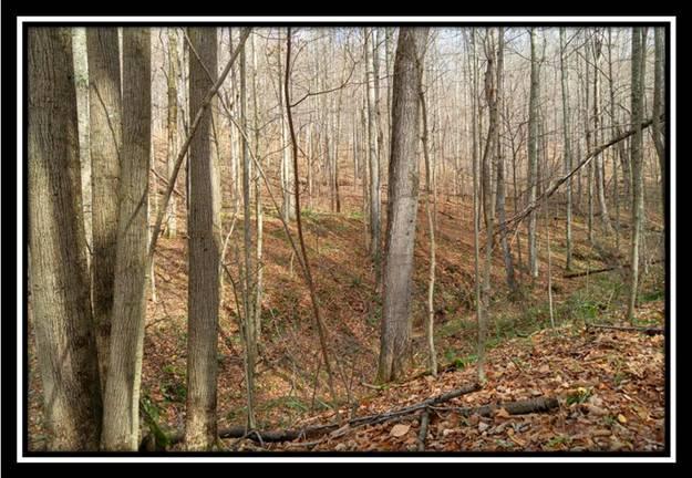 0 Sand Ridge Road Guysville, OH 45735 - Photo 4 of 10