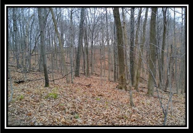 0 Sand Ridge Road Guysville, OH 45735 - Photo 6 of 10