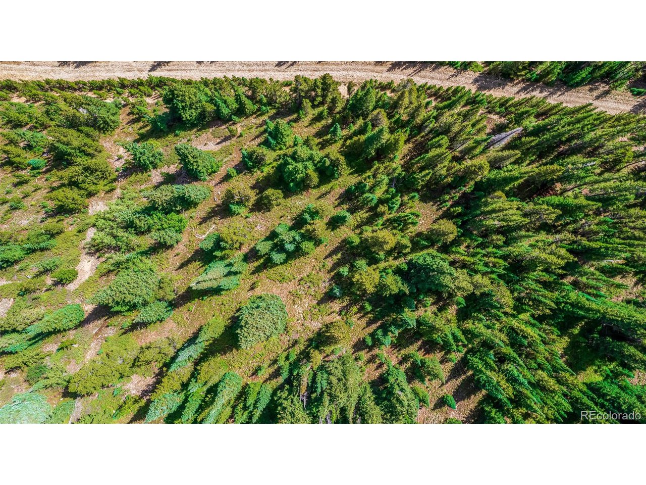 508 Hilltop Road Idaho Springs, CO 80452 - Photo 12 of 26 Lot 508