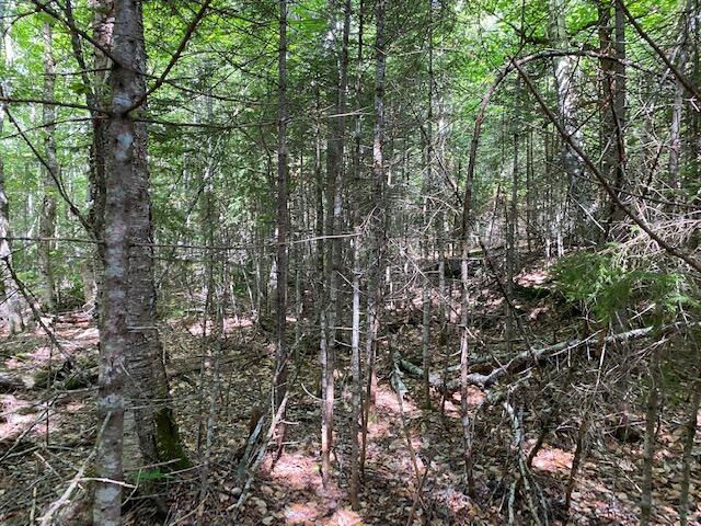 5-8 East Road Greenville, ME 04441 - Photo 16 of 19 IMG_3179