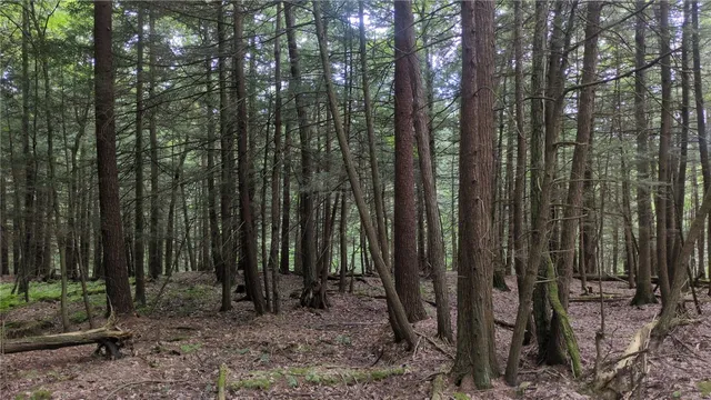 $199,999 | 0 Shute Road, Dansville, NY 14437