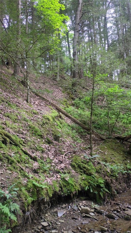 0 Shute Road Dansville, NY 14437 - Photo 12 of 16