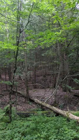 $199,999 | 0 Shute Road, Dansville, NY 14437