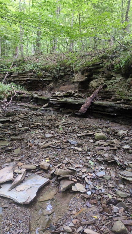 0 Shute Road Dansville, NY 14437 - Photo 15 of 16