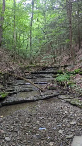 $199,999 | 0 Shute Road, Dansville, NY 14437